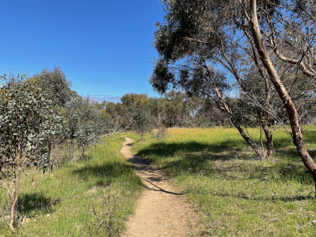 Onkaparinga River National Park - Sundews Ridge Hike