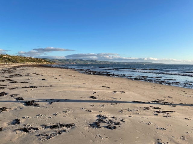 View south from Aldinga Beach