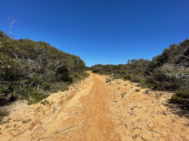 The trail up towards the cliffs