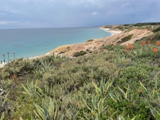 On the cliffs in Port Willunga