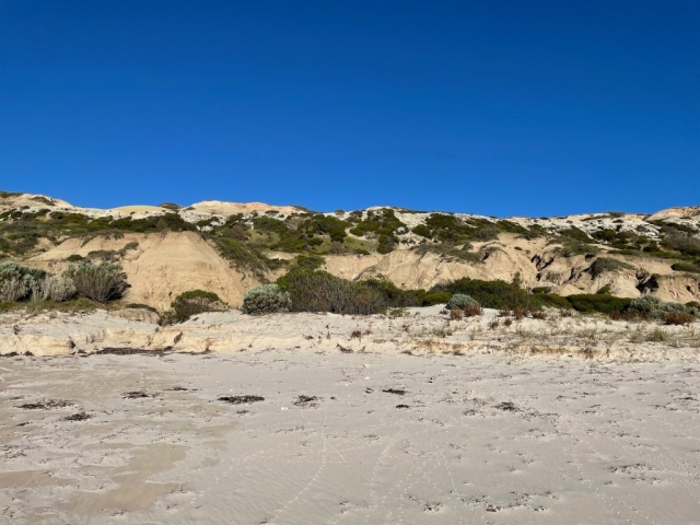 Cliffs behind Port Willunga Beach north