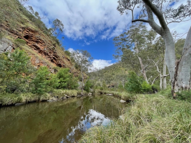 The trail runs alongside the river