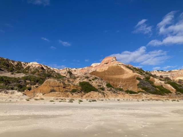 On Maslin Beach