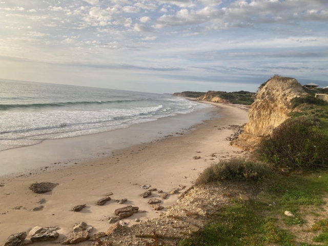 Overlooking the south of Port Willunga Beach