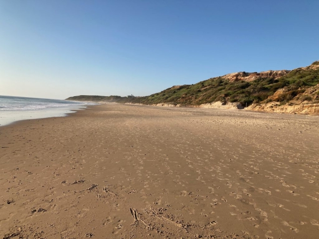 On Maslin Beach