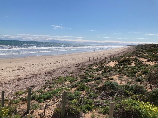 View of Aldinga Beach from Silver Sands