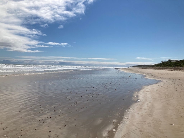 On Aldinga Beach