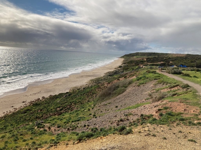 Maslin Beach at the north end