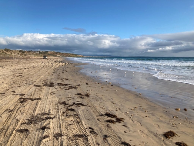 Moana Beach looking south