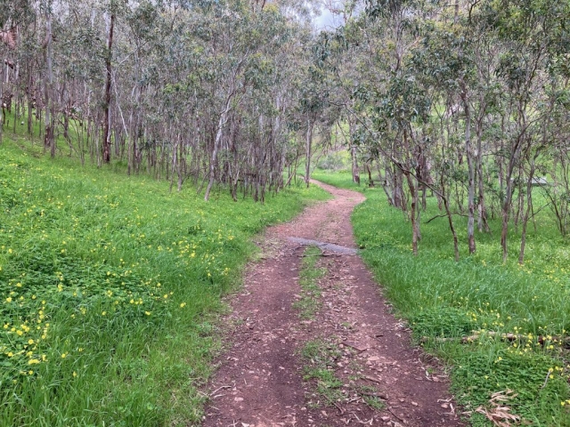 Heading into Waite Conservation Reserve