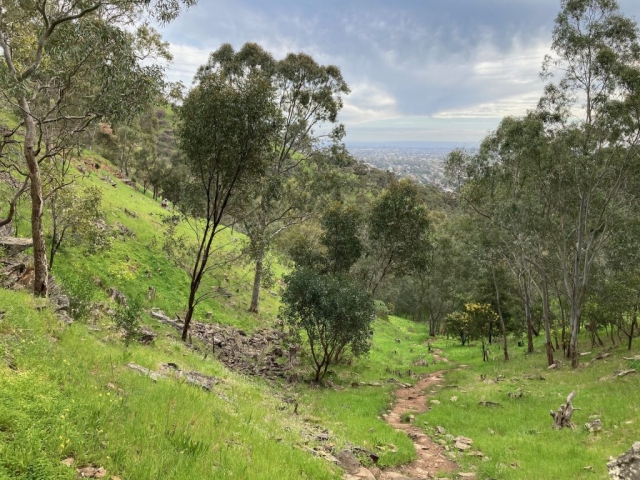 Trail in Waite Conservation Reserve