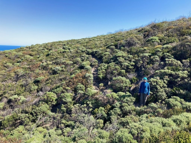 CC in the bush on the cliffs