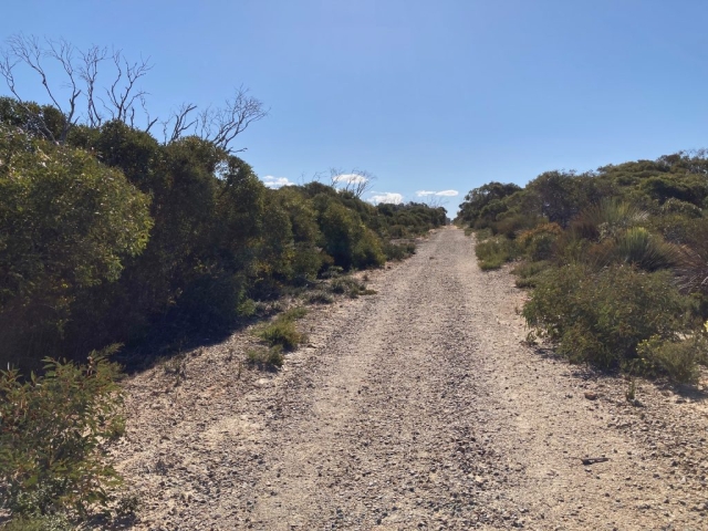 The trail back down to the beach