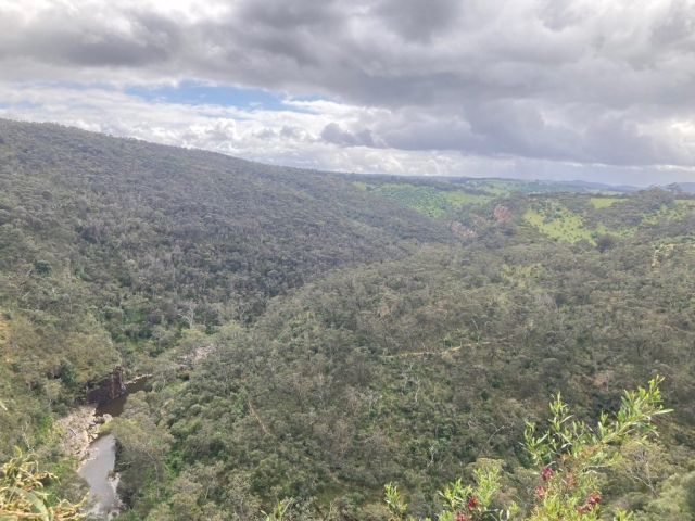 Overlooking the gorge before our descent