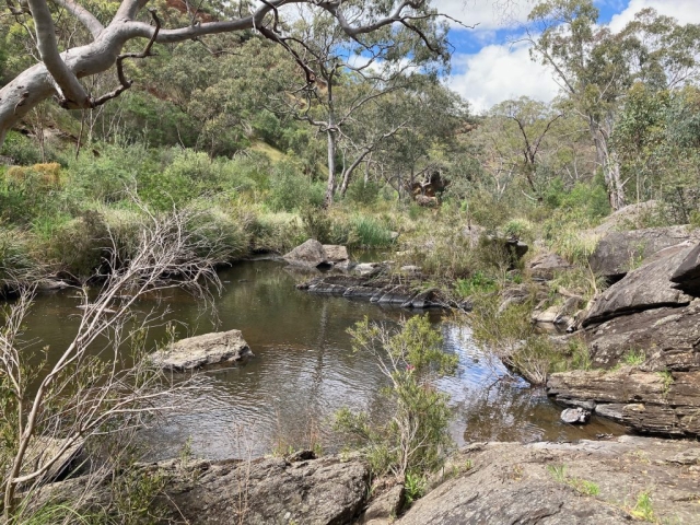 The river gets very narrow and rocky