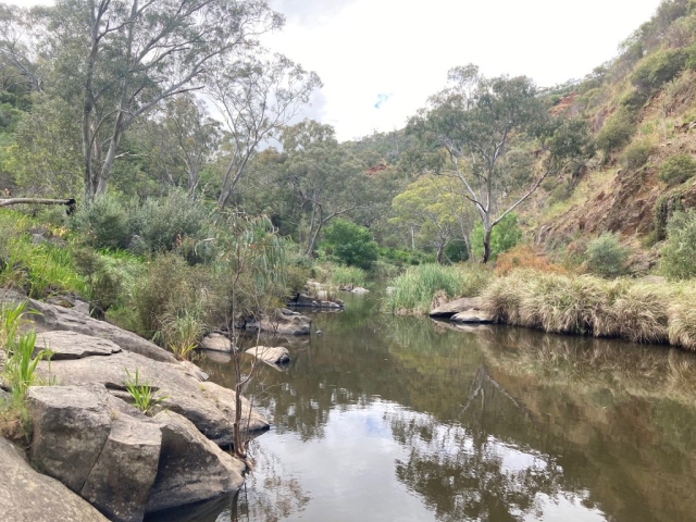 Another view of the river