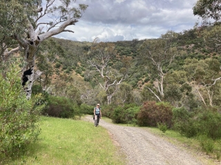 CC on the way out of the gorge