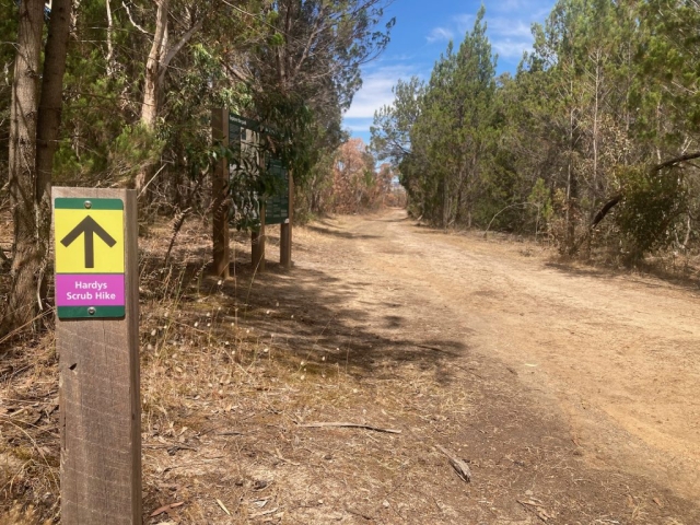 Entrance to the Hardys Scrub Hike