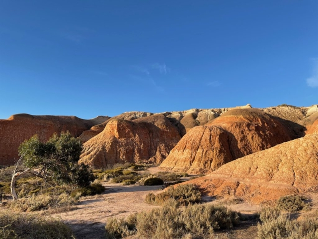 Cliffs at Maslin Beach