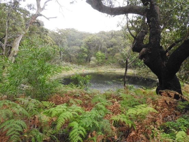 Small waterhole near the track