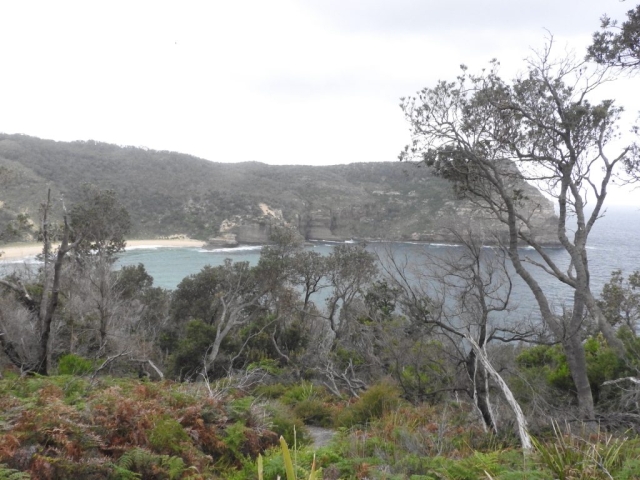 Steamers Beach in the distance