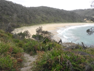 Looking down on Steamers Beach Looking down on Steamers Beach