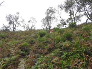 PB on the trail PB on the trail