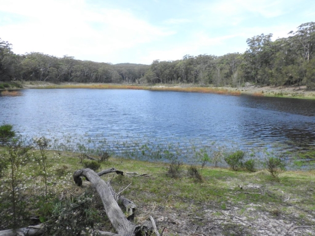 Blacks Waterhole