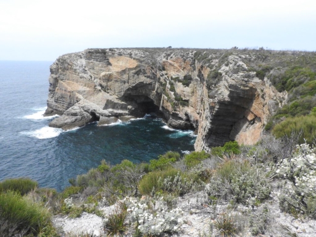 On the coast near Governor Head