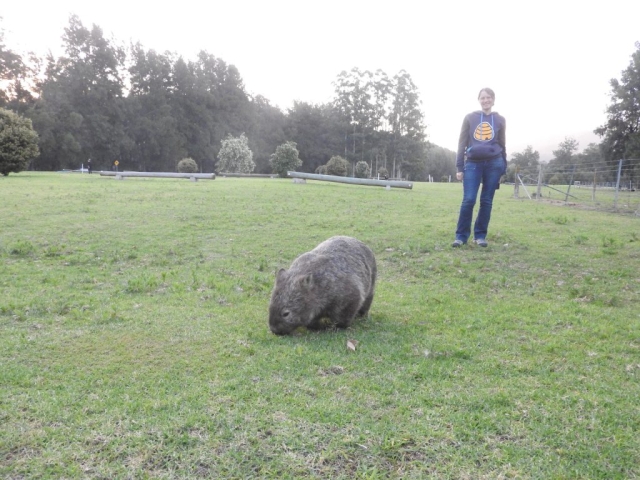 Obligatory photo of CC with a wombat