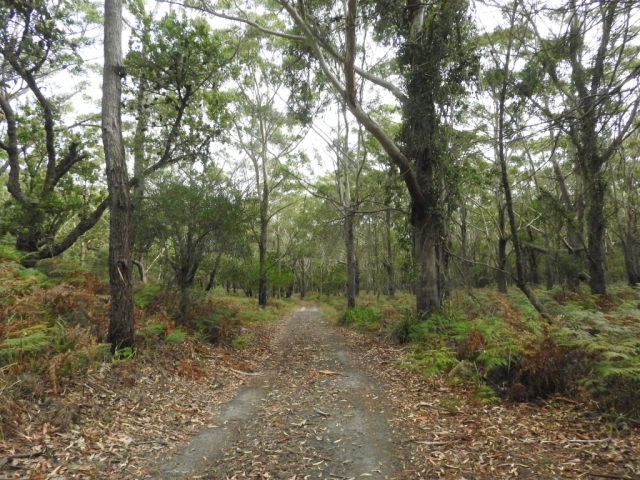 The Pimple Track to Bherwerre Beach