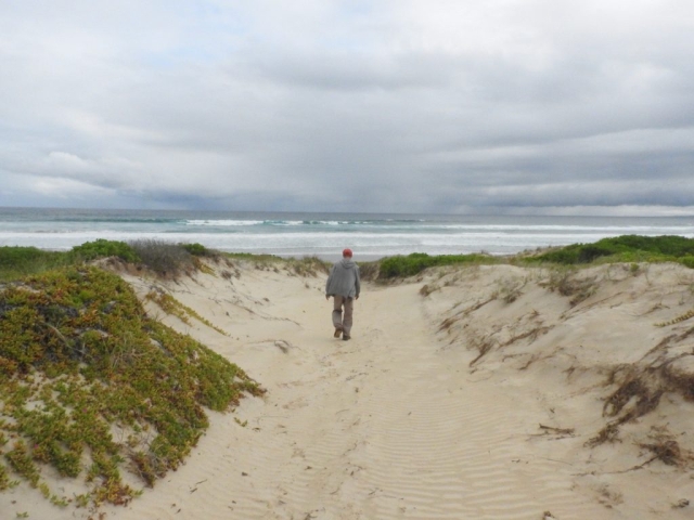 PB arriving at Bherwerre Beach