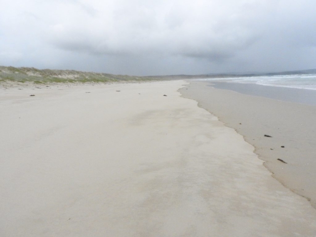 A wild and empty Bherwerre Beach