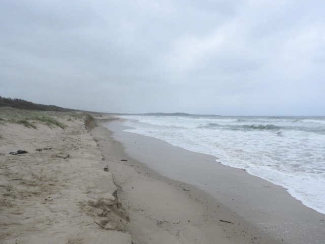 An overcast day on Seven Mile Beach