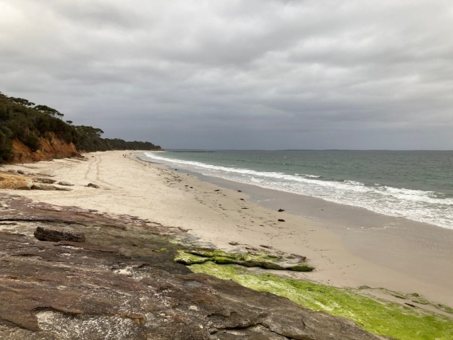 Nelson Beach, Vincentia