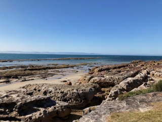 The coast near Currarong