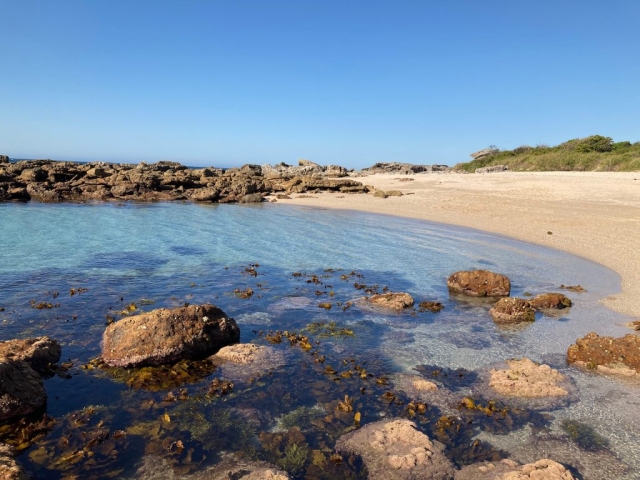 Beach on the Abraham Bosoms walking track