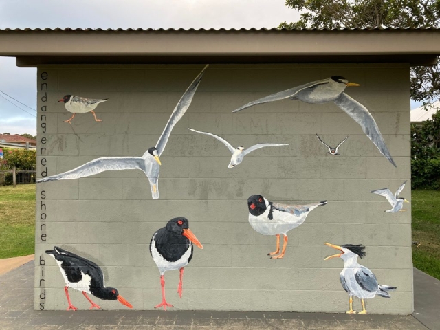 Endangered shore birds mural