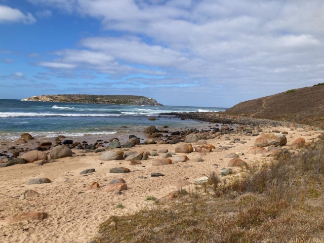 On the trail to Waitpinga Clffs