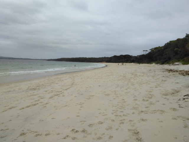 View from Plantation Point