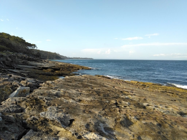 On the rocks near Hyams Beach