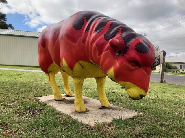 Fiery looking sheep in Kaniva