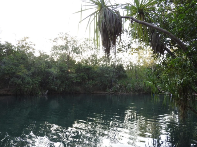 Pool in Berry Springs Nature Park