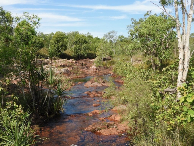 Creek on the Wangi loop walk