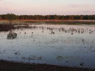 Mcminns Lagoon in the evening