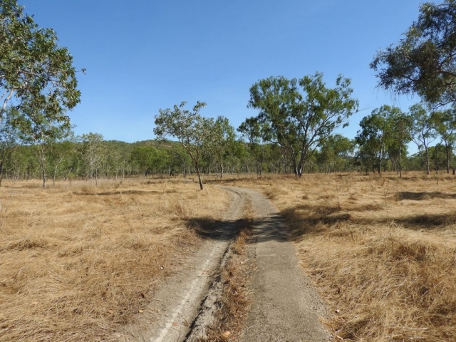 On the trail around Bird Billabong