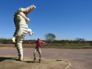 PB and the jumping crocodile
