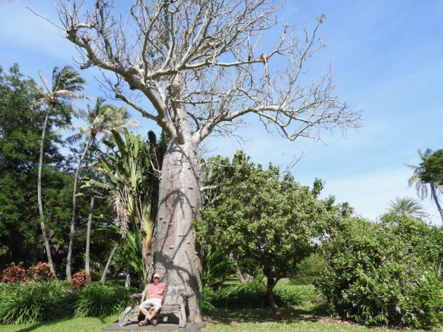 PB in Darwin Botanic Gardens