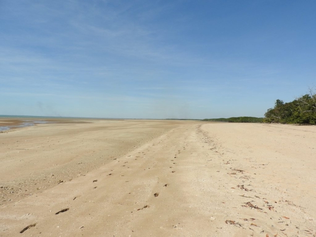 On the sand near Buffalo Creek