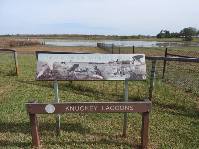 Knuckey Lagoons on the edge of Darwin